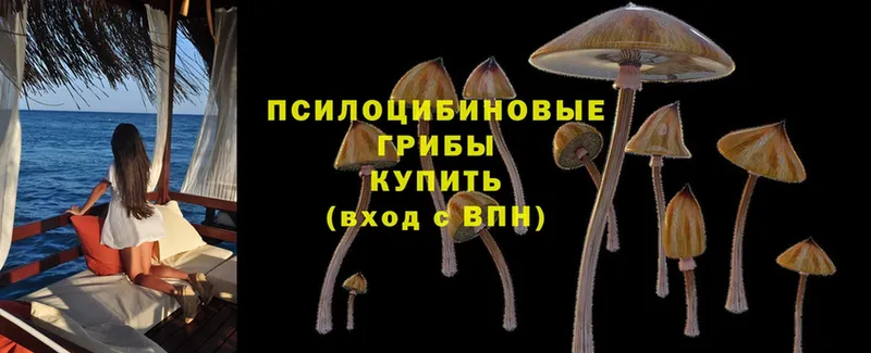 Псилоцибиновые грибы мухоморы  Жуковка 